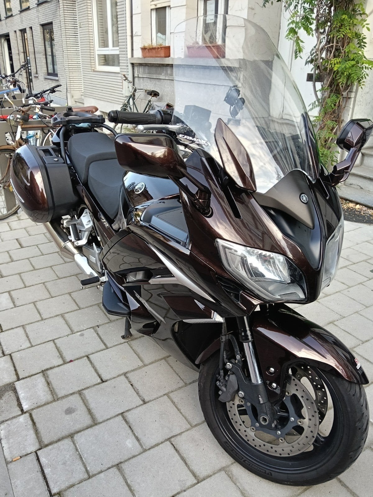 Yamaha ES FJR 1300, Particulier