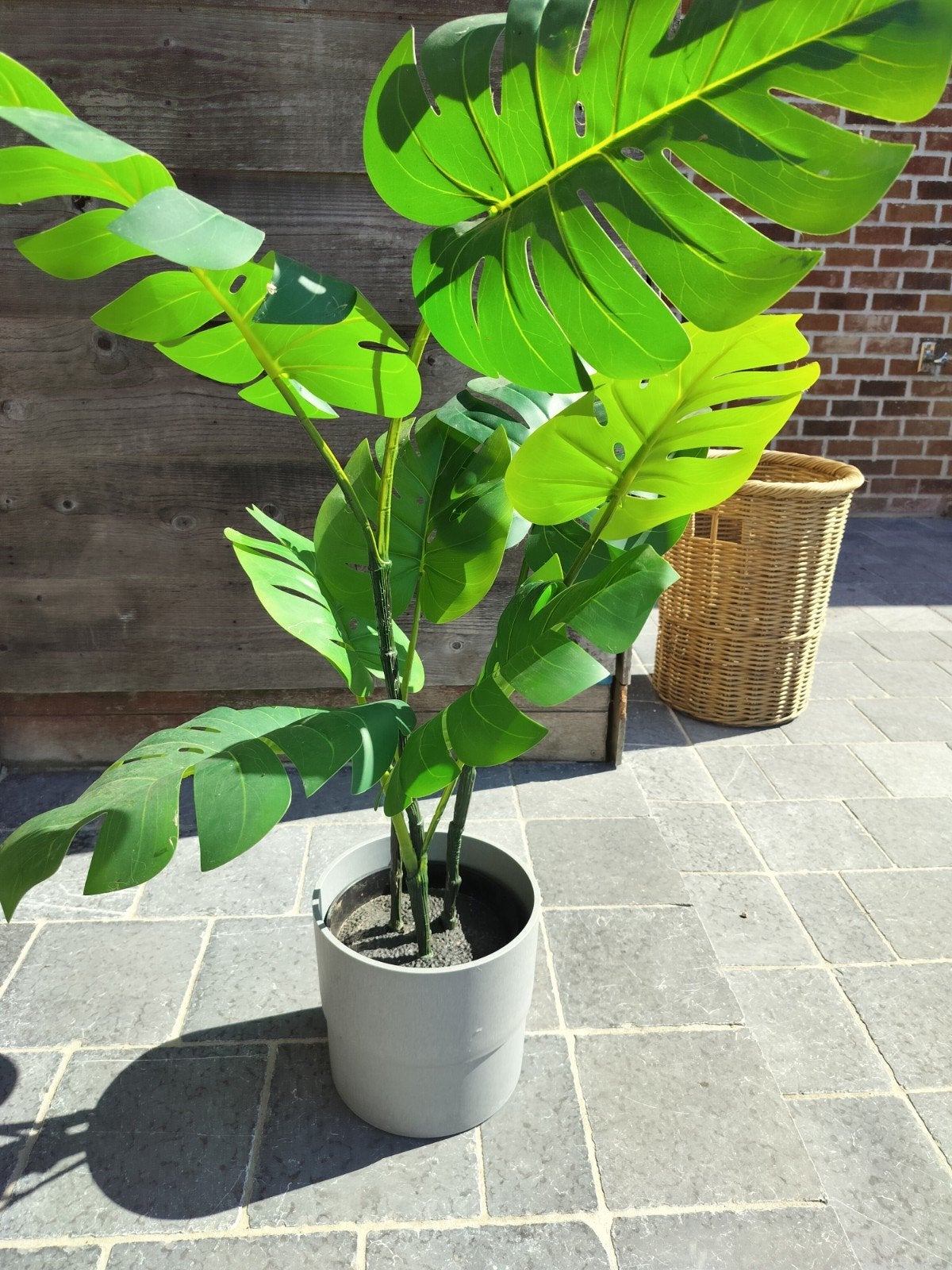Kunstplant met pot, Ophalen, Vaste plant