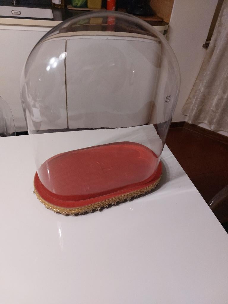 Grande cloche en verre, Enlèvement, Comme neuf