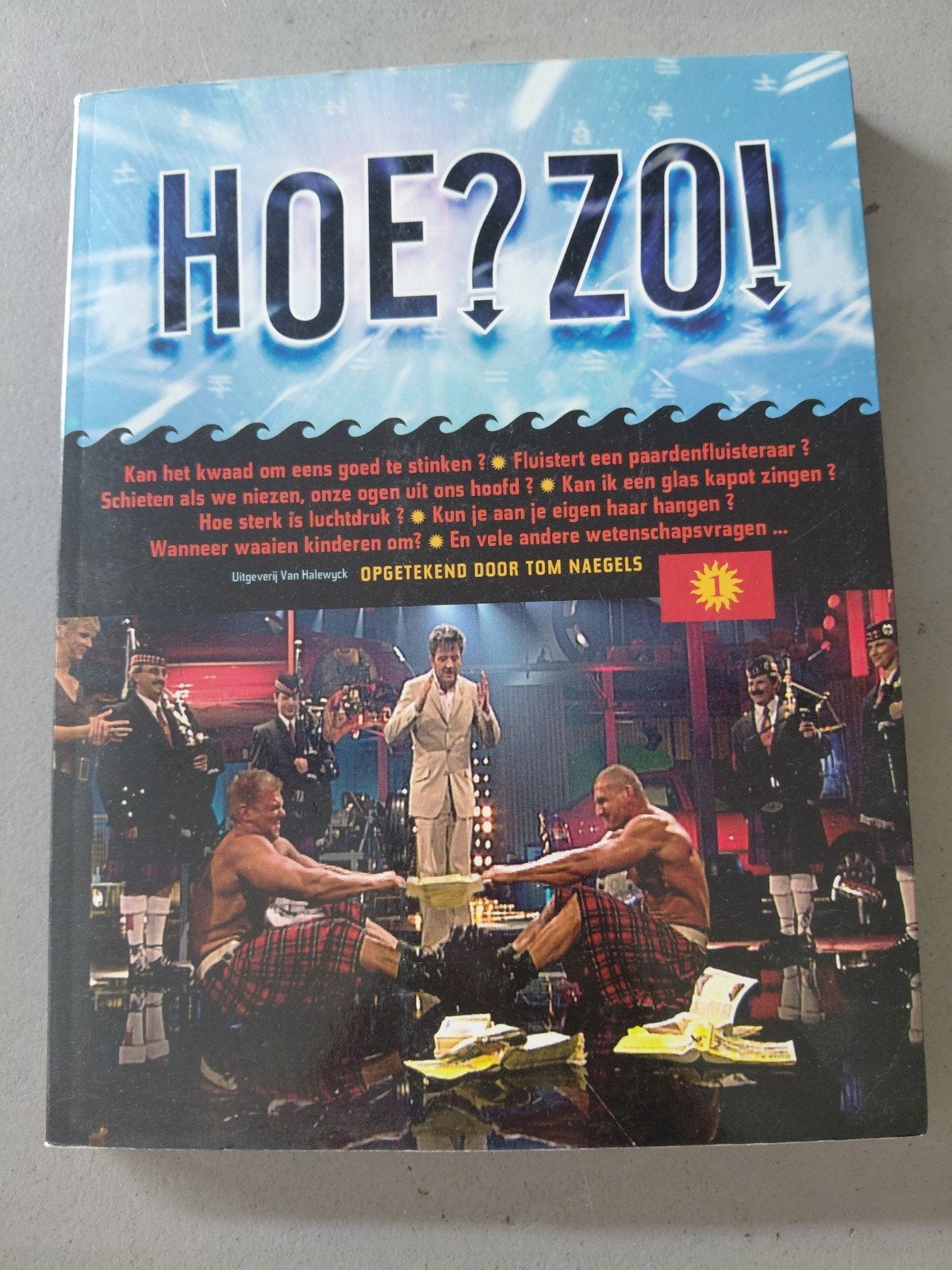Tom Naegels - Hoe? zo!, Boeken, Ophalen, Tom Naegels