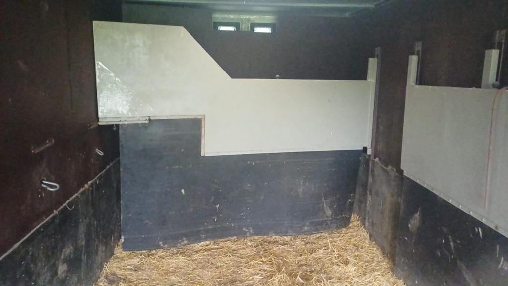 Paarden thailer, Dieren en Toebehoren, Paarden