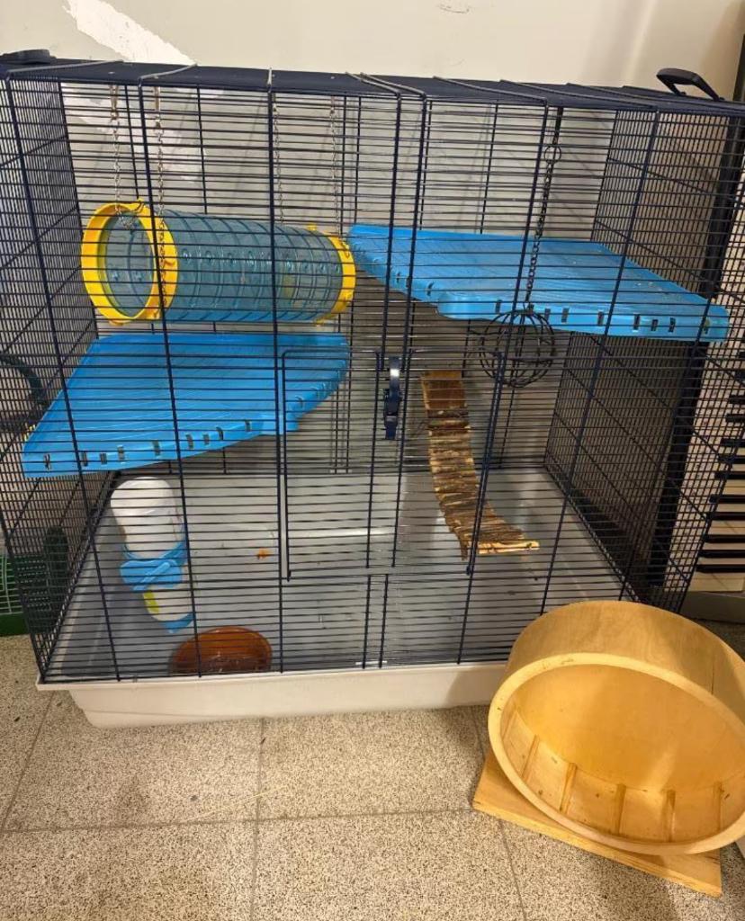 Knaagdierenkooi, Ophalen, Kooi, Gebruikt, 60 tot 90 cm