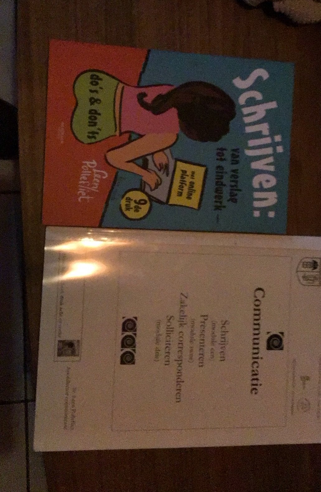 Schrijven van verslag tot eindwerk, Boeken, Ophalen of Verzenden, Nieuw