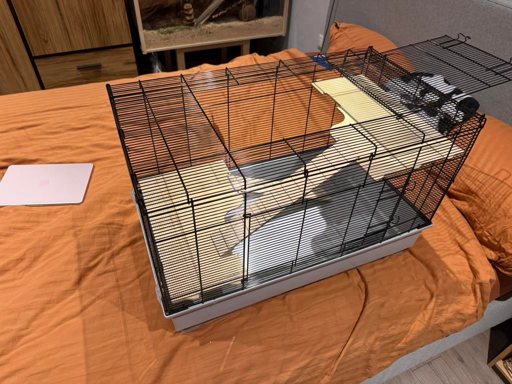 Hamsterkot/cavia/konijn, Ophalen, Zo goed als nieuw, Cavia