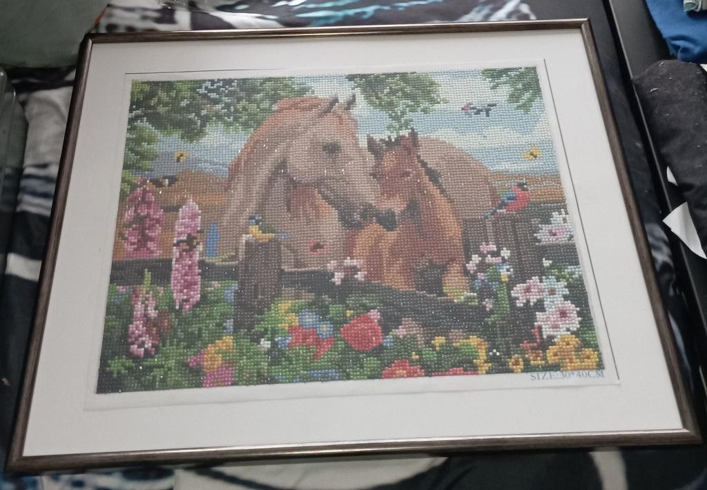 diamond painting paard 40op50 nieuw in kader, Collections, Collections Animaux, Enlèvement, Neuf, Cheval