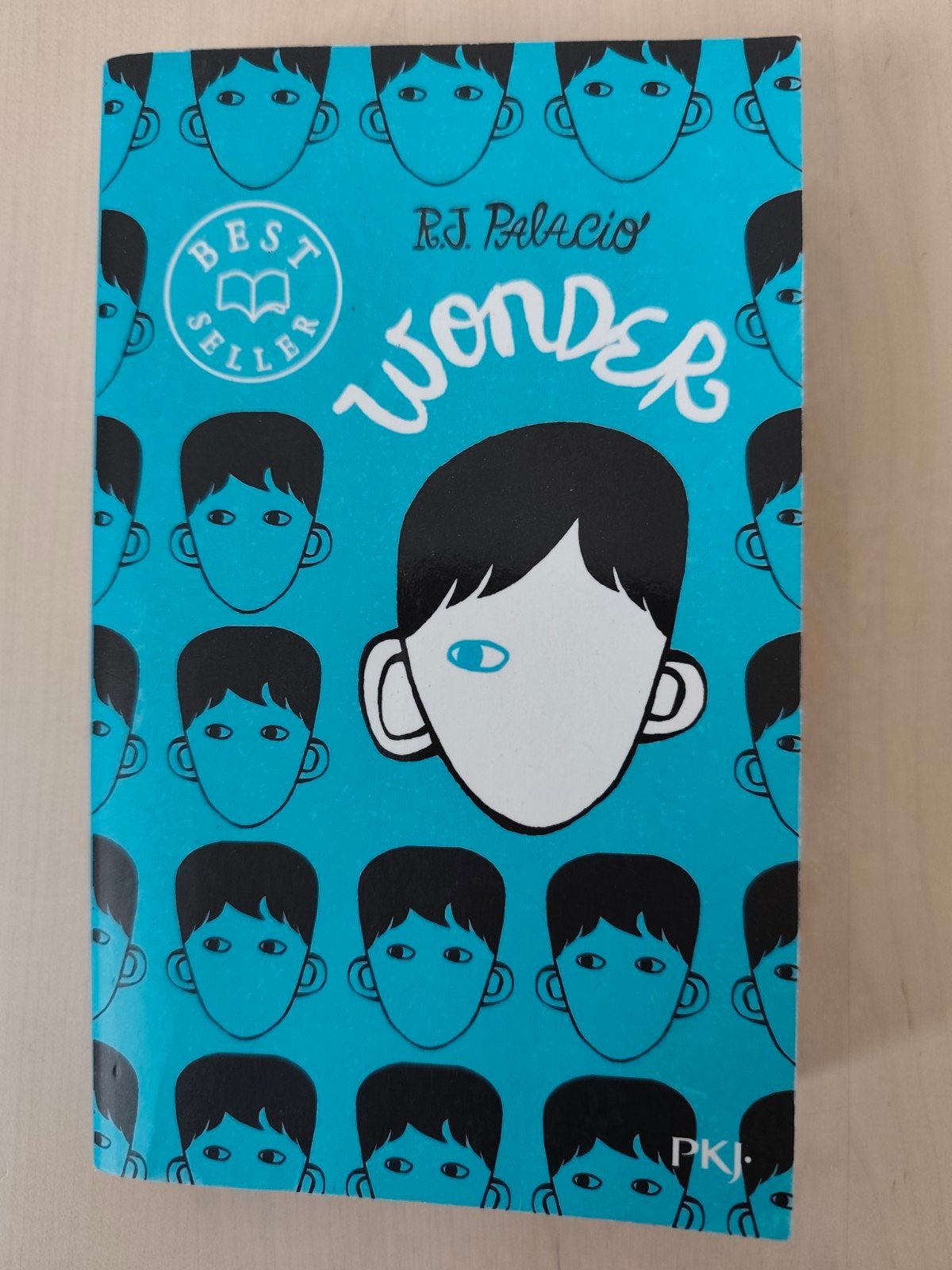 Wonder - Livre, Livres, Récits de voyage, Enlèvement, Comme neuf