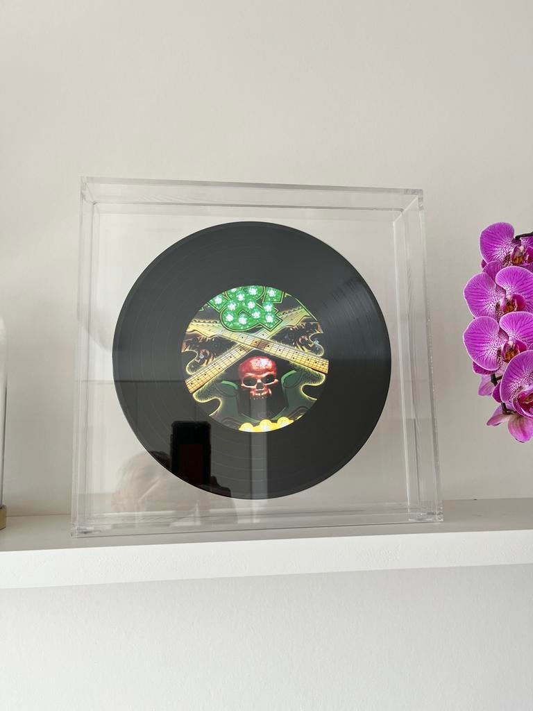 Kunstwerk vinyl plaat in plexi met skull, Ophalen, 2000 tot heden, Zo goed als nieuw, Overige formaten