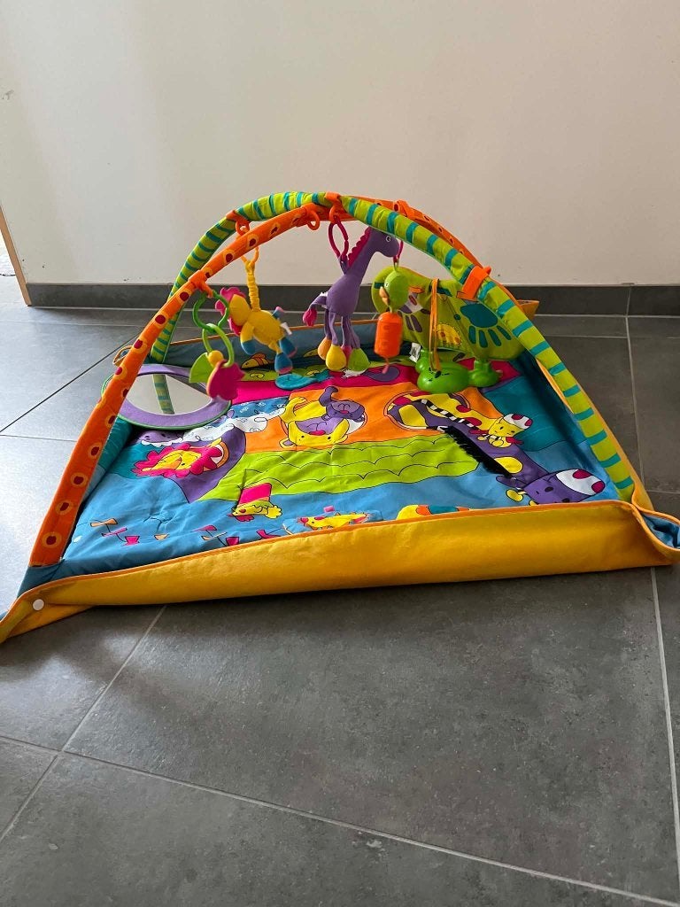 Baby speelmat Tiny Love, Kinderen en Baby's, Ophalen, Zo goed als nieuw, Jongen of Meisje
