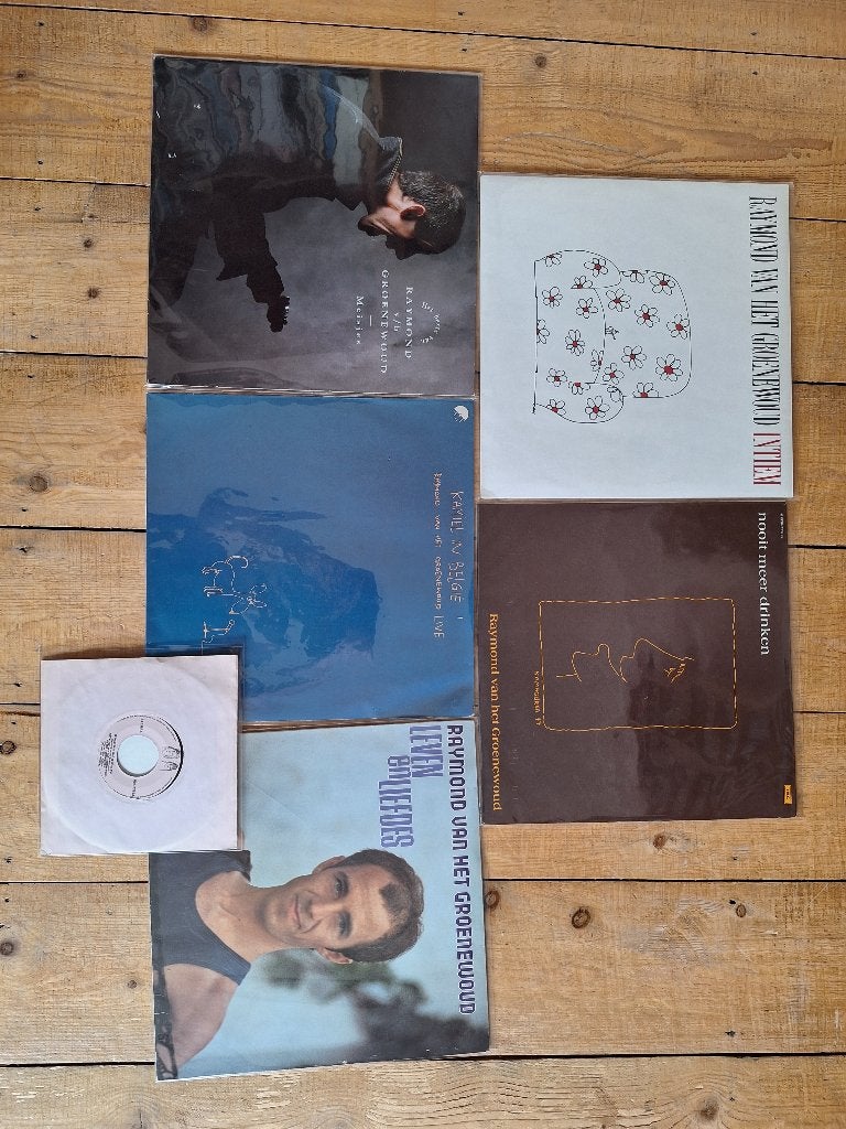 Lot Raymond v/h Groenewoud, LP, Gebruikt, Ophalen of Verzenden, 12 inch