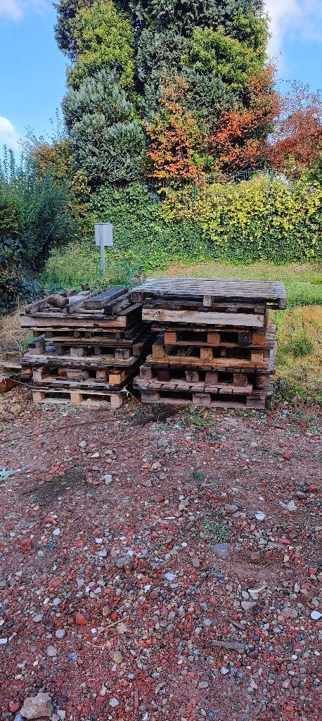 Palletten gratis af te halen, 50 mm ou plus, Moins de 200 cm, Autres essences de bois, Enlèvement