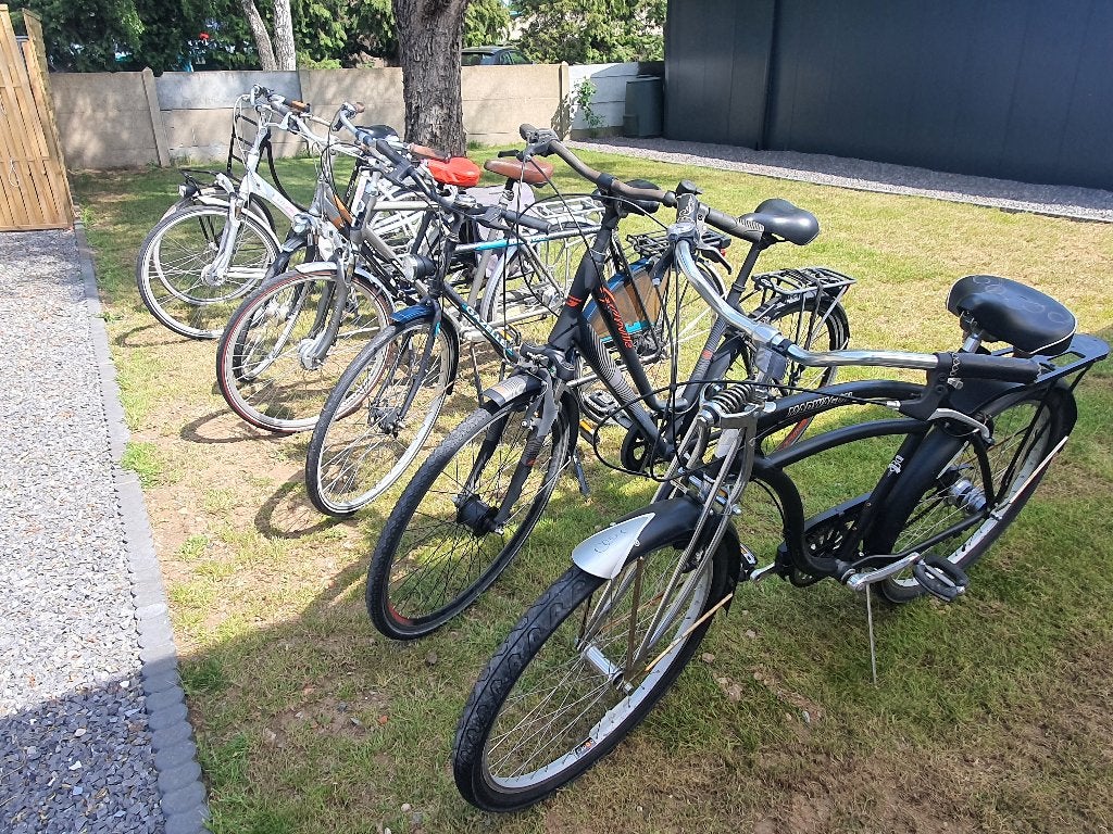 Lot Package à vendre : des vélos pour femmes et pour hommes, Vitesses, Batavus, Comme neuf, Enlèvement