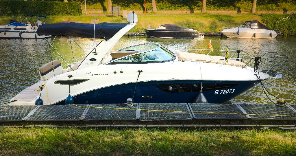 Sea Ray Sundancer 265 – slechts 190 draaiuren - 2019, 9 m, Gebruikt, Binnenboordmotor, Walstroom
