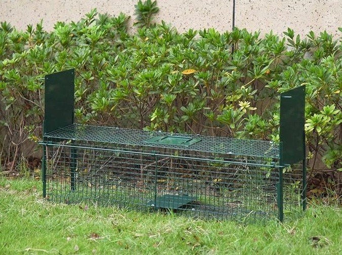 Piege à fouine, furet, etc. réutilisable en métal, Enlèvement, Utilisé
