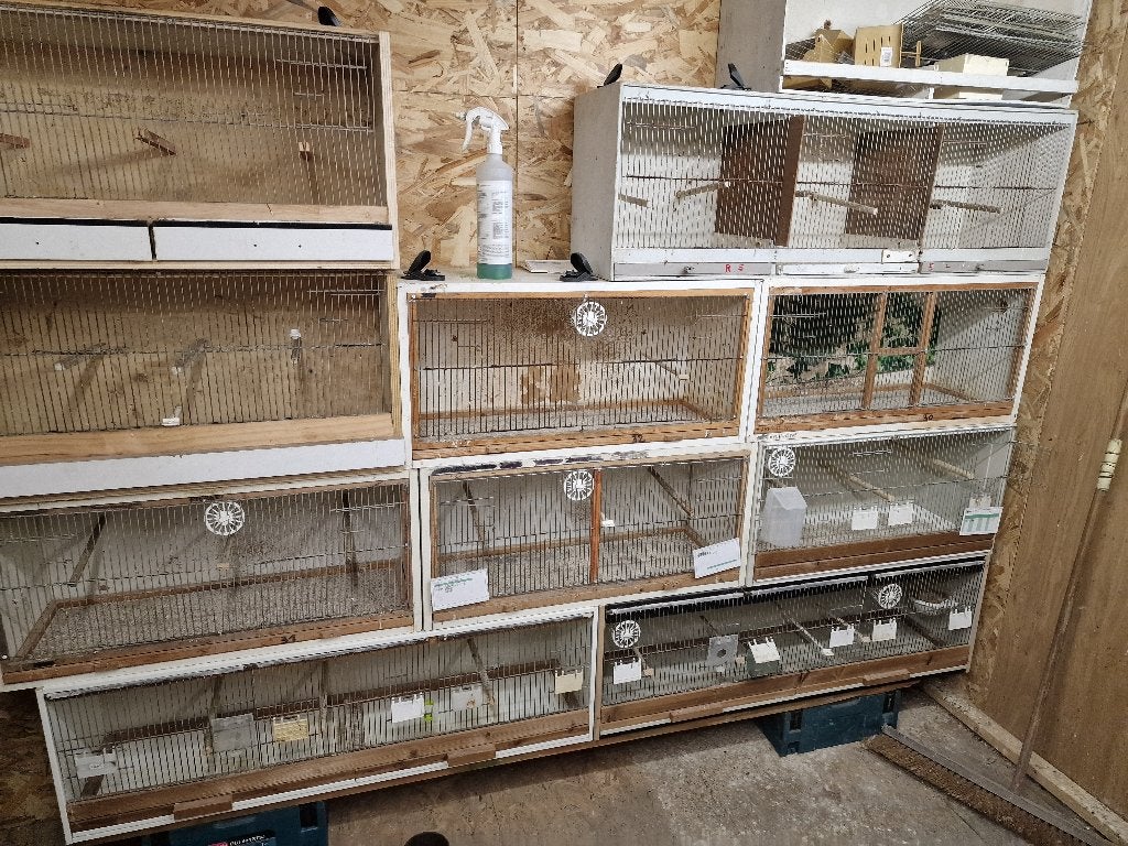 vogels, Ophalen, Gebruikt