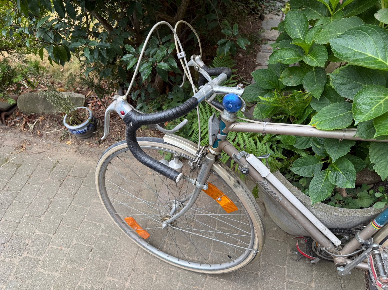 Oude koersfiets, Fietsen en Brommers, Ophalen