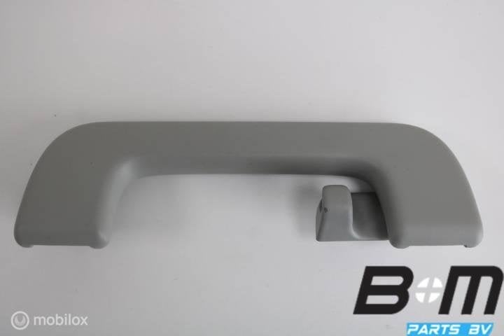 Handgreep in hemel LA (bestuurderskant) Audi S3 8V Sportback, Gebruikt