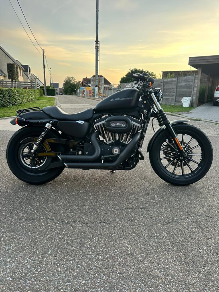 Harley iron 883 - 1200cc, Motoren, Motoren | Harley-Davidson, Particulier, Gebruikt