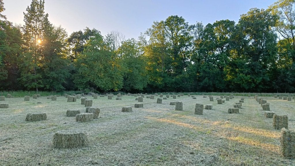 Hooi in kleine balen, Ophalen