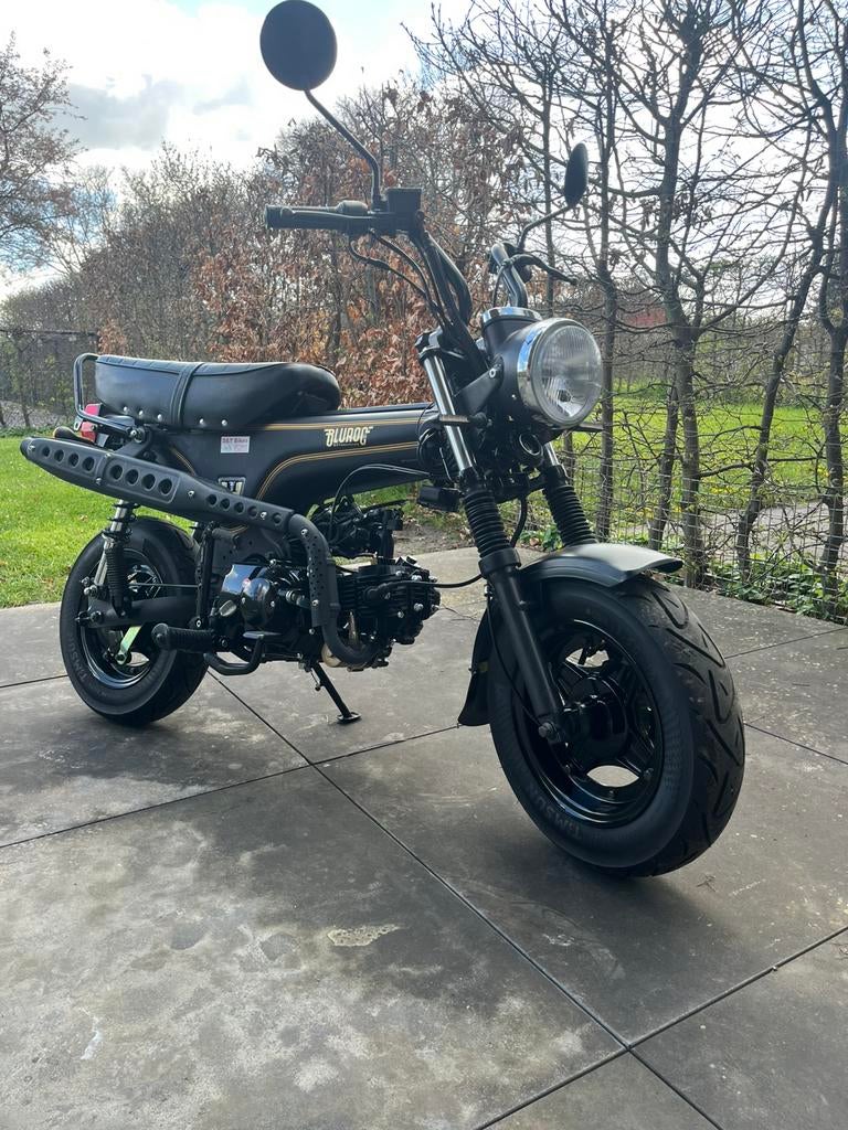 Dax 50cc, Enlèvement ou Envoi, Comme neuf