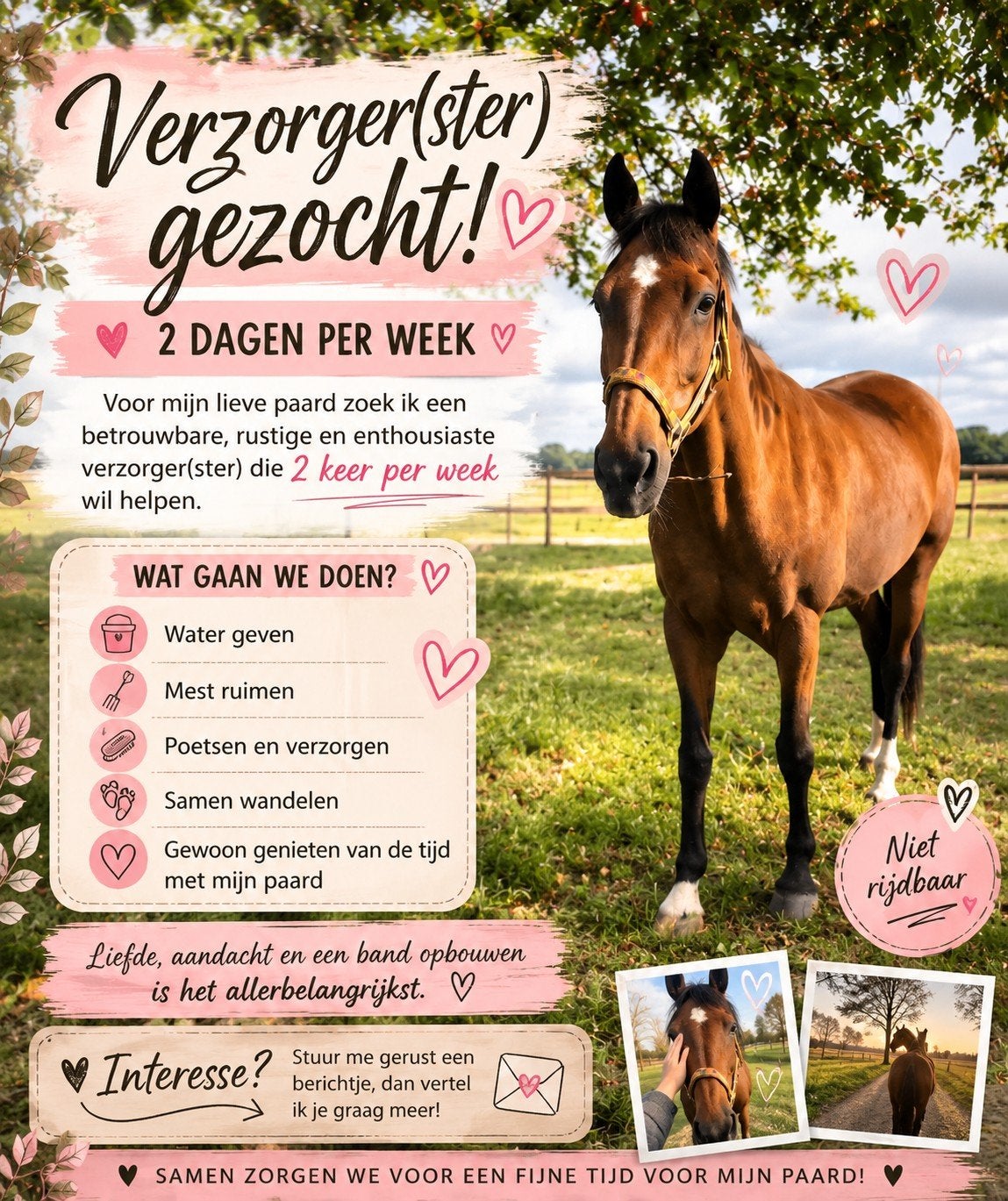 Verzorger(ster) gezocht, Ophalen