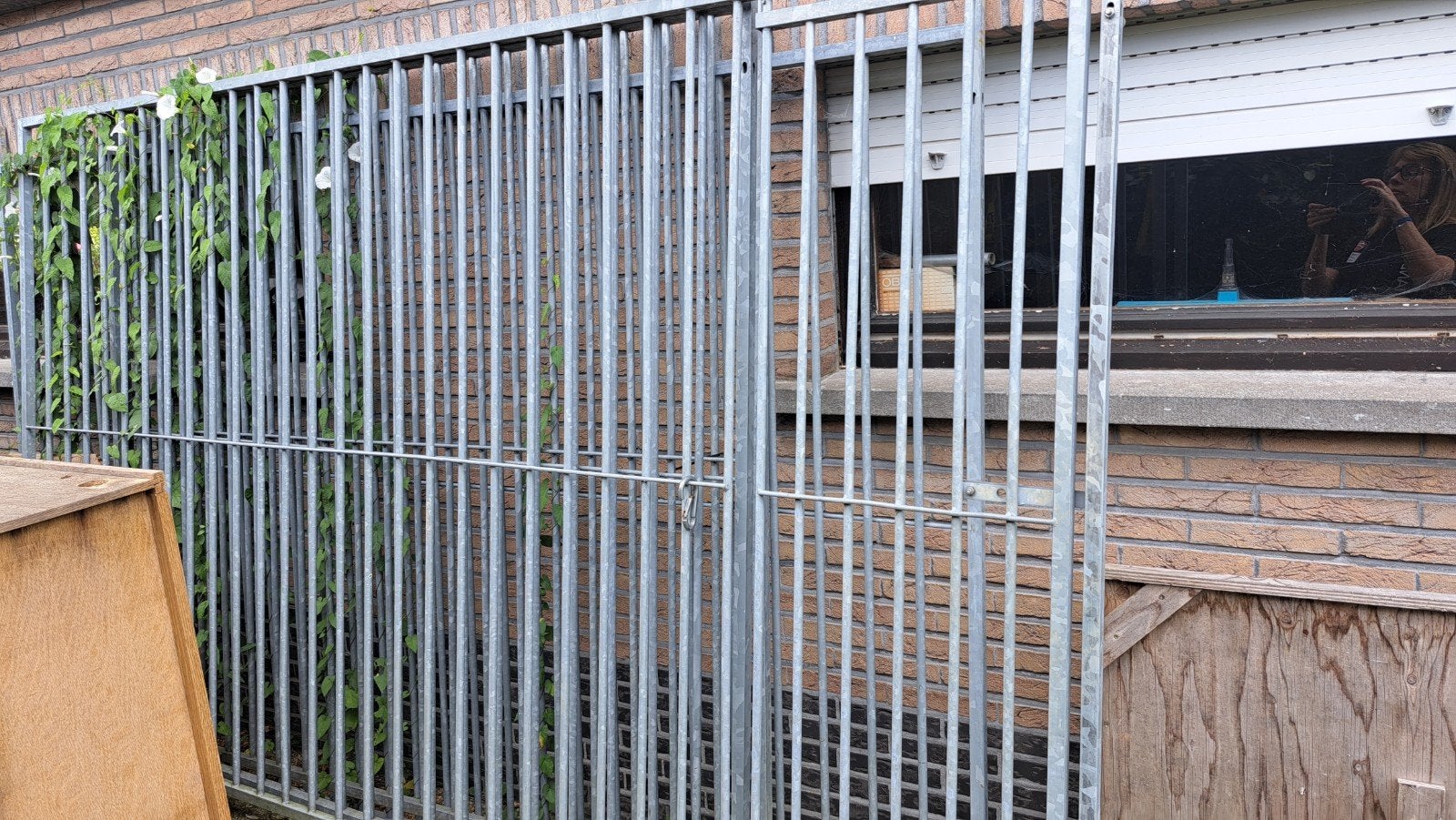 Honden kennel, Ophalen