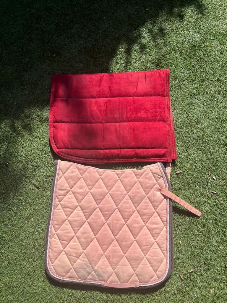 Zadeldekjes, BR, Dressuurdekje, Rood, Ophalen of Verzenden
