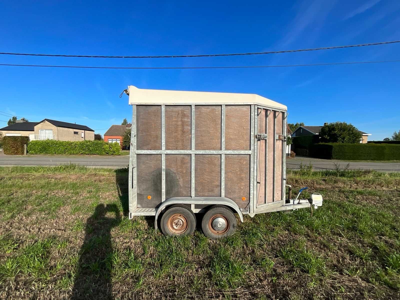 Remorque à chevaux BCW, Utilisé, Autres types