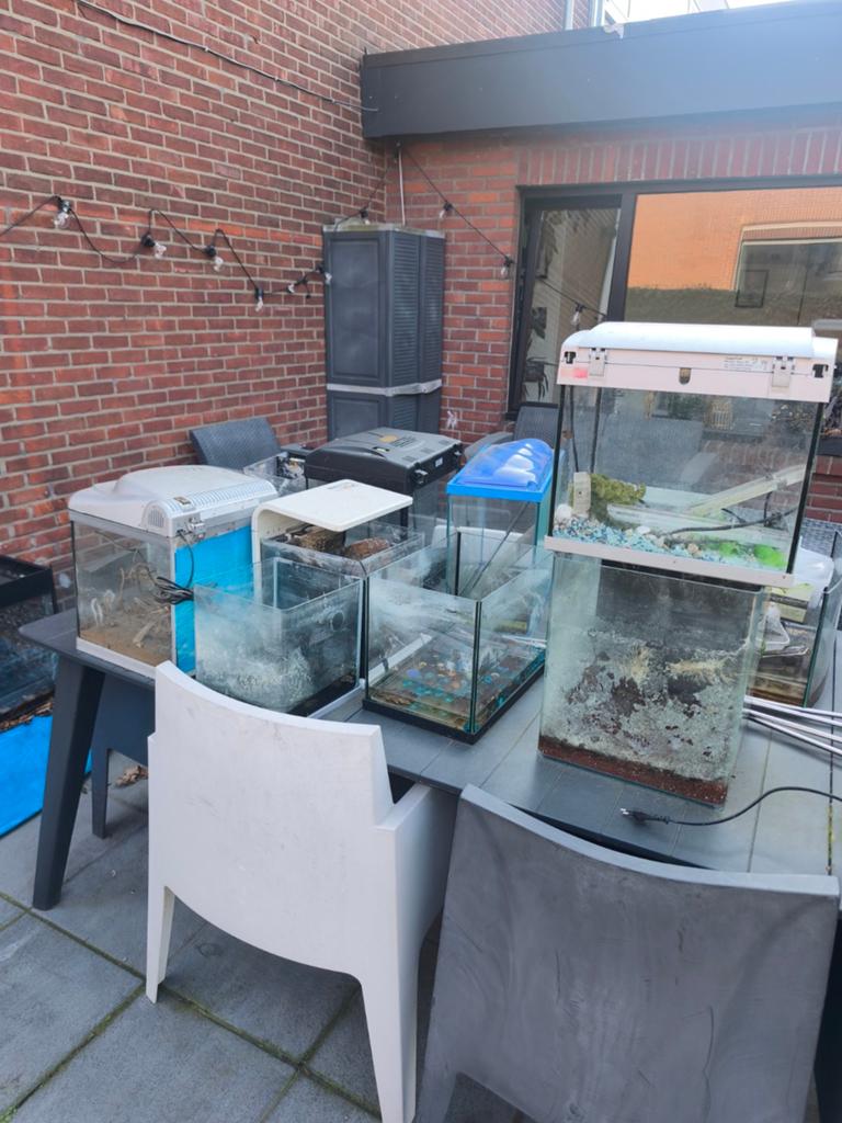 Verschillende aquariums te koop, Enlèvement