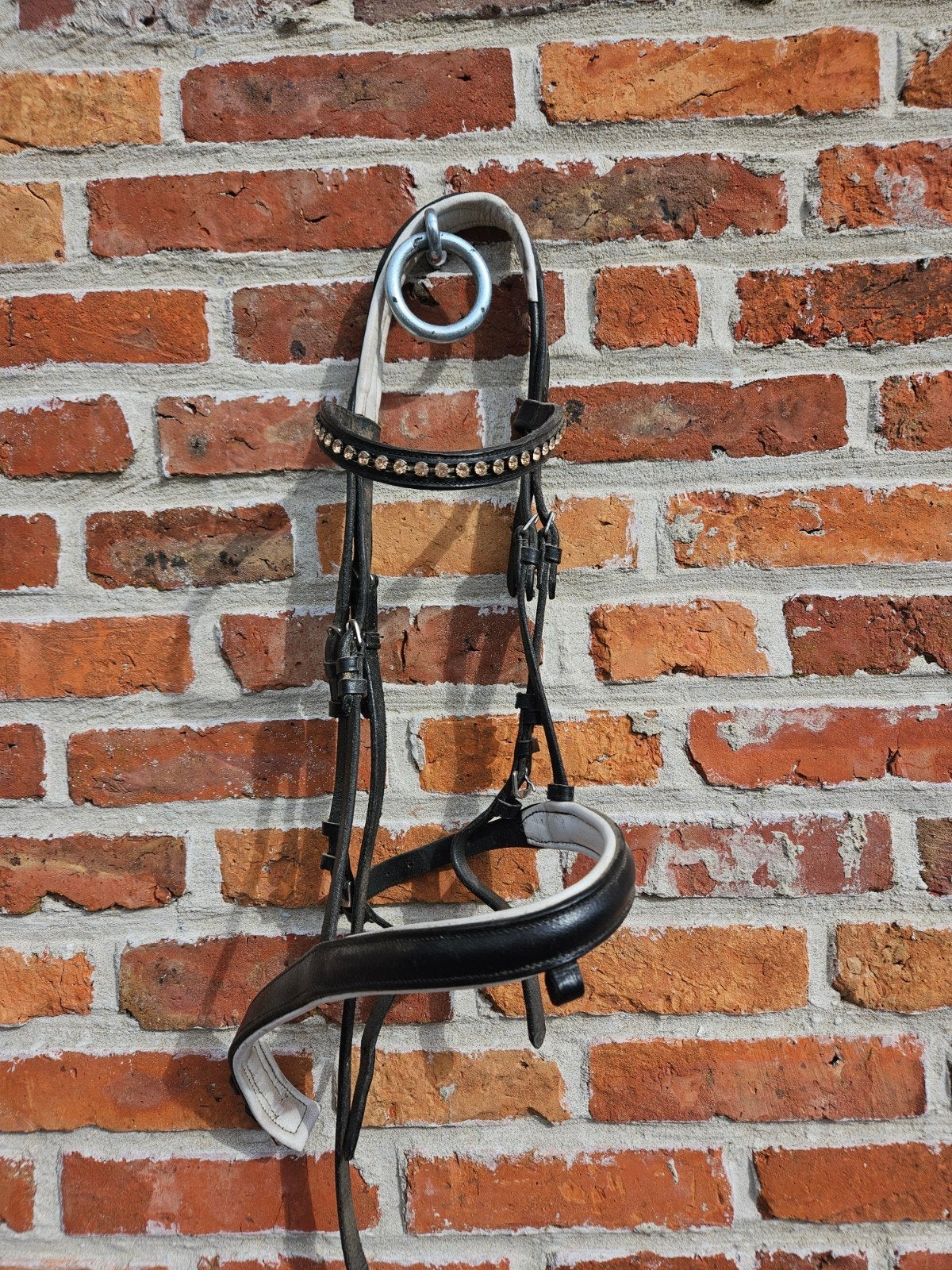 Hoofdstel, Dieren en Toebehoren, Ophalen of Verzenden, Zwart, Hoofdstel