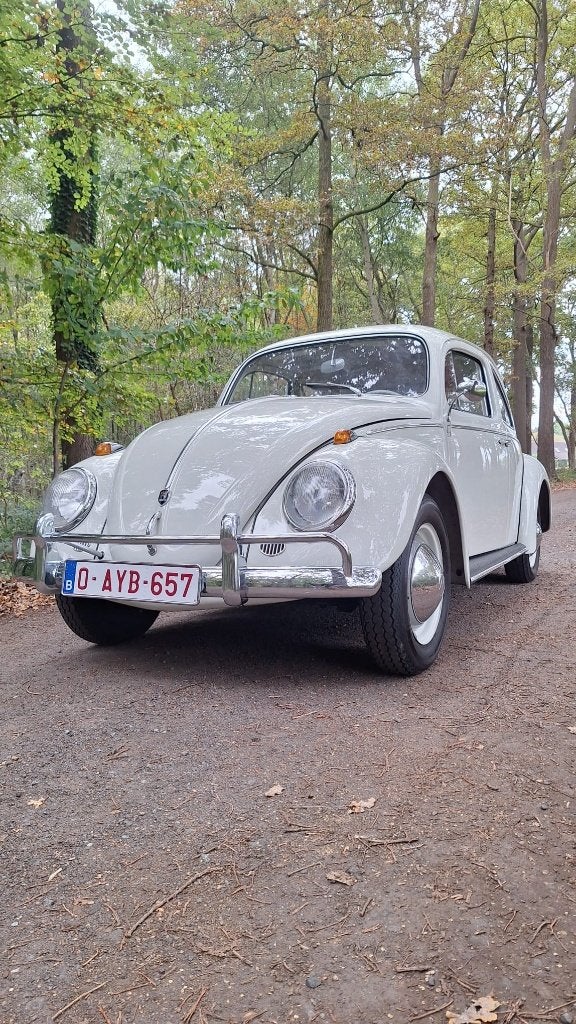 Volkswagen Beetle à.p.d. 1962, Autos, Oldtimers & Ancêtres, Achat, 2 portes, Particulier, Tissu