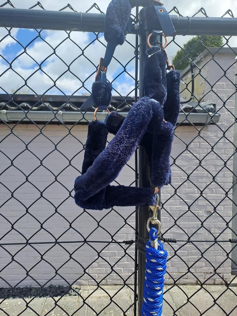 Nieuwe blauw halster met touw, Dieren en Toebehoren, Ophalen