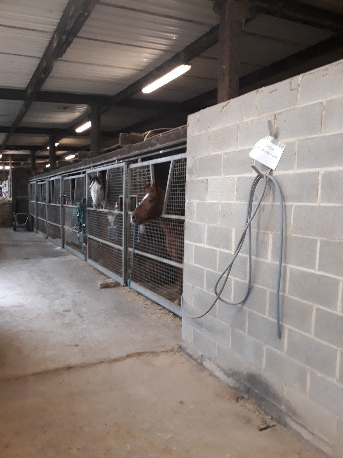 paarden stal te huur, Dieren en Toebehoren