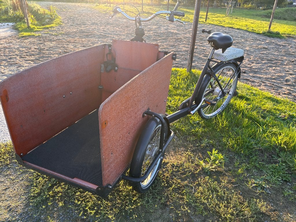 Bakfiets 3 wiel zonder motor, voor 2 kinderen, Fietsen en Brommers, Ophalen, Gebruikt, 2 kinderen, Overige merken