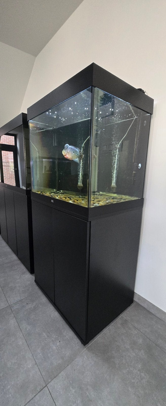 juwel lido 200, (200liter). perfecte staat met alles bij., Dieren en Toebehoren, Ophalen, Pomp, Filter, Juwel