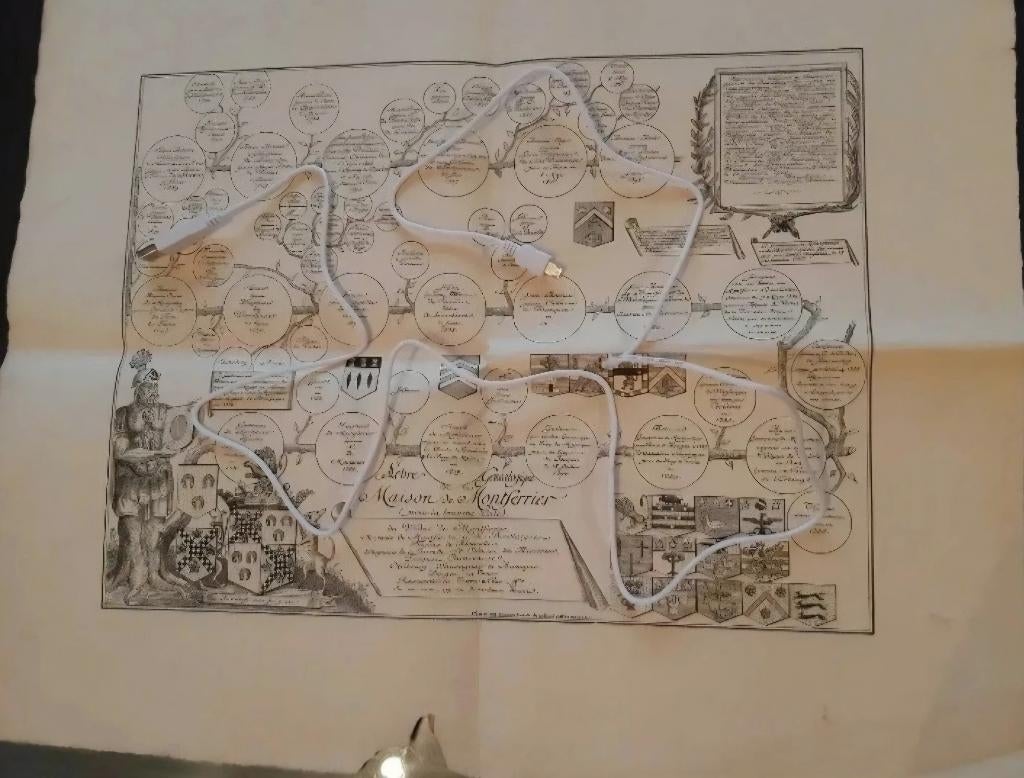 Franc maçonnerie+Napoléon+Cambacérès+Famille de Victor Hugo, Antiquités & Art, Enlèvement ou Envoi, Victor Hugo