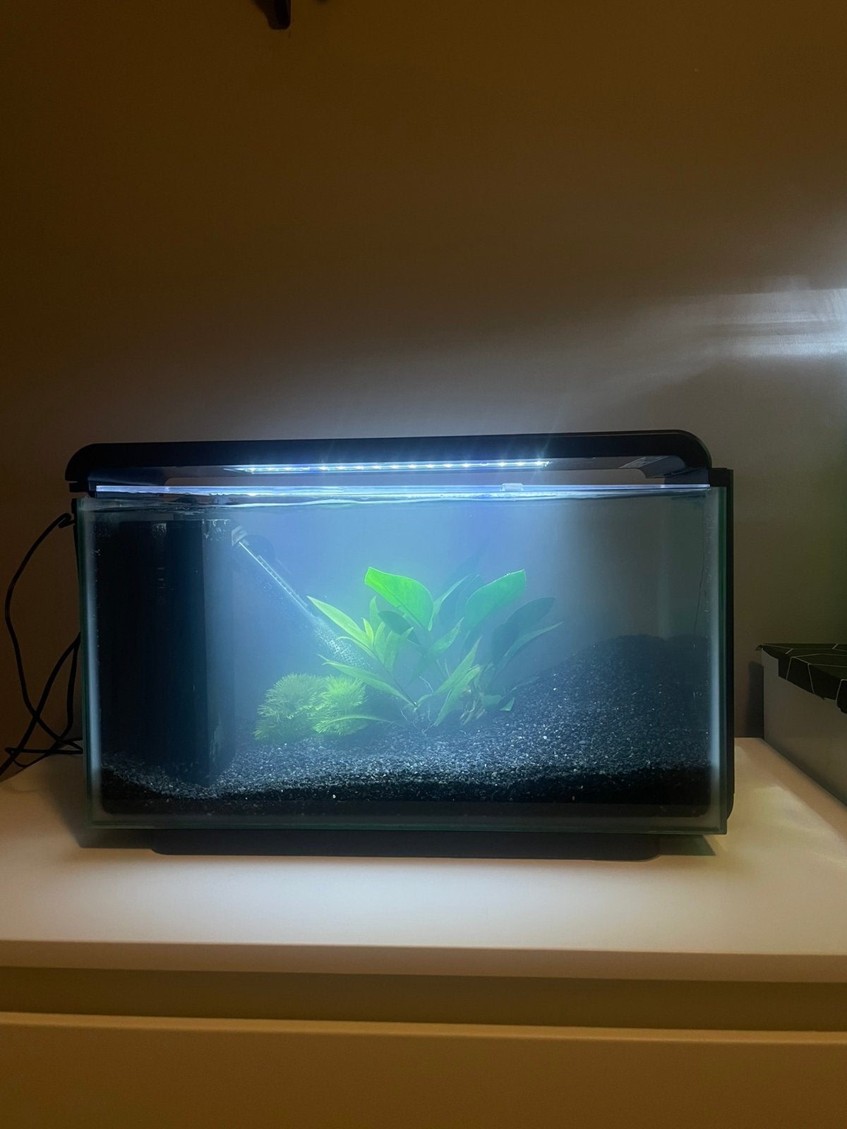 Aquarium Superfish 25 Liter, Ophalen, Nieuw, Leeg aquarium, Superfish