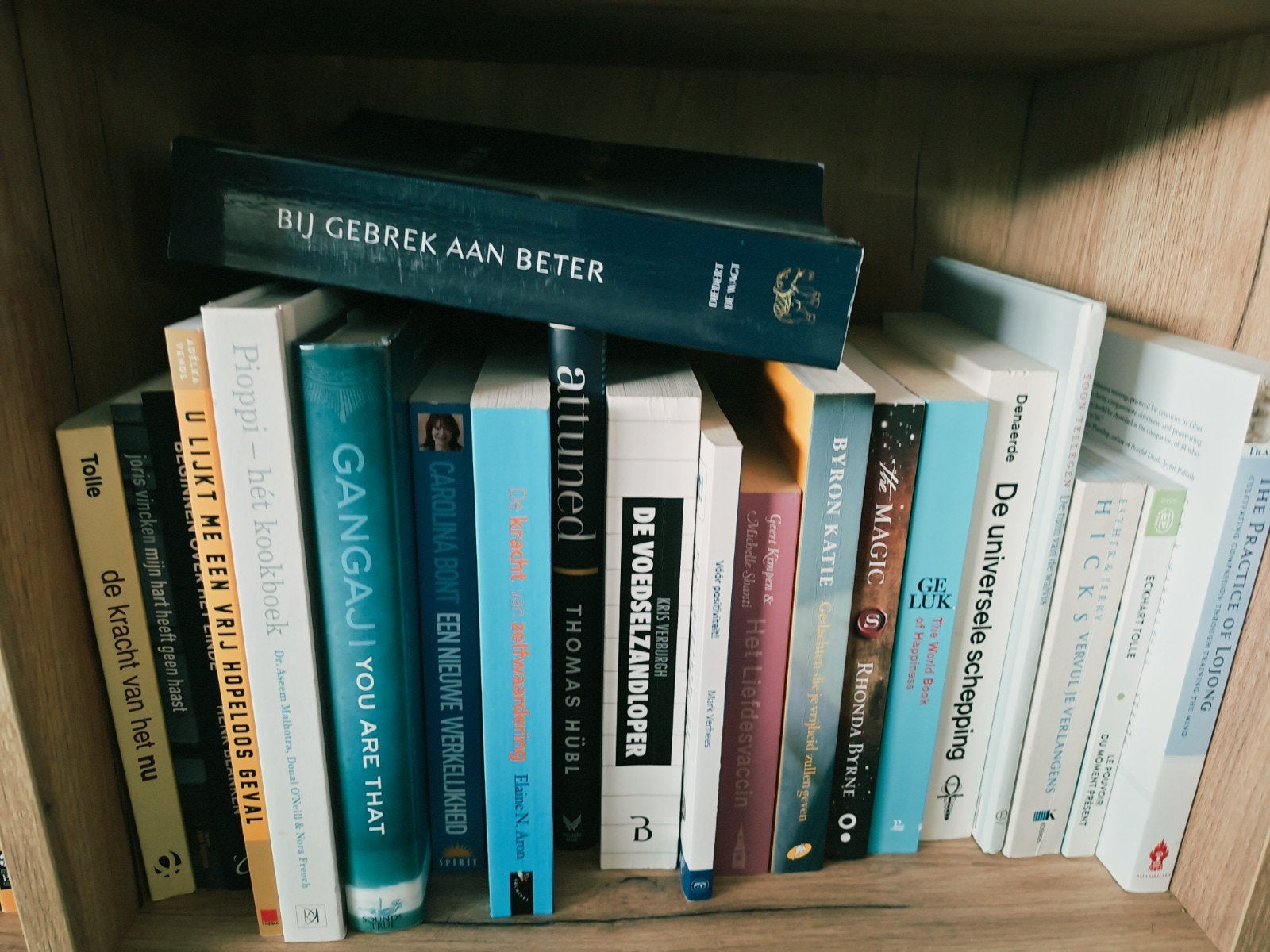 verschillende spirituele of psychologieboeken te koop, Enlèvement, Jan Geurtz