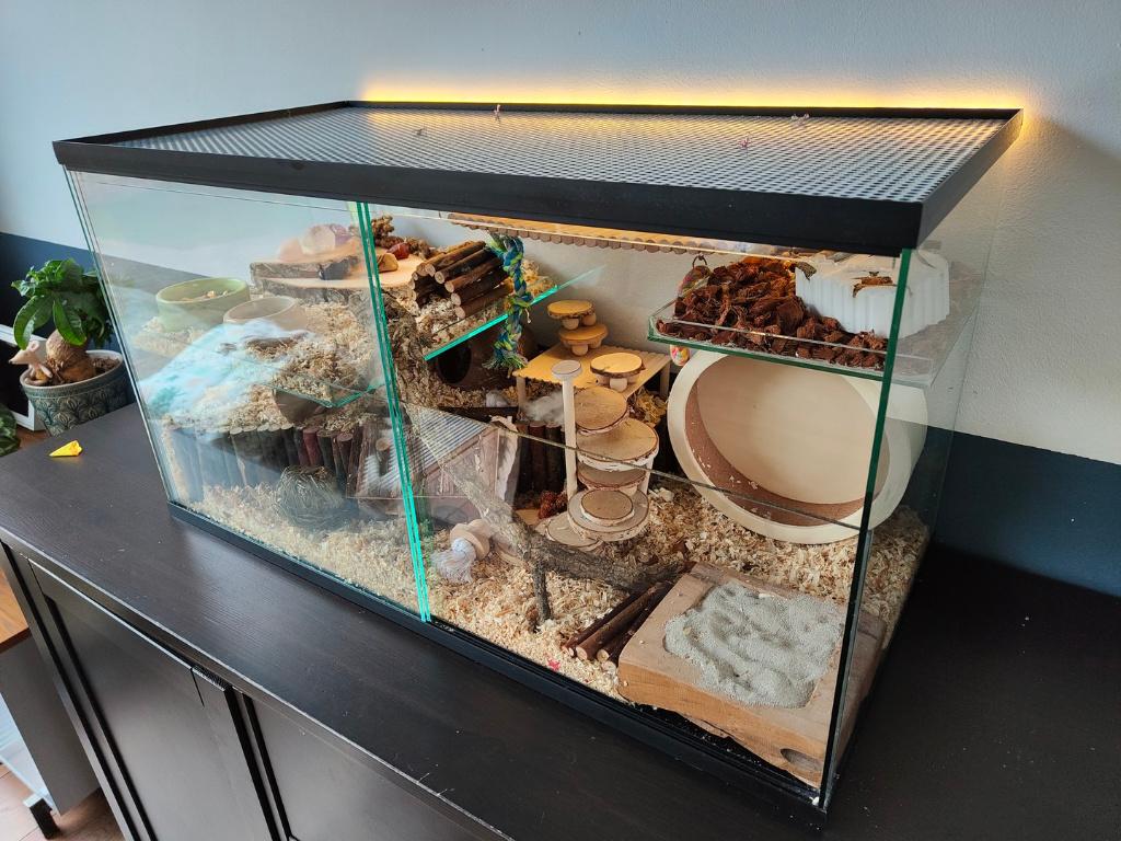 Glazen gerbilkooi met schuifruiten, Dieren en Toebehoren, Knaagdieren en Konijnen | Hokken en Kooien, Minder dan 60 cm, Ophalen of Verzenden
