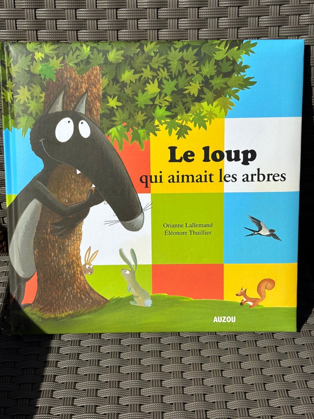 Le loup qui aimait les arbres - Auzou - comme neuf, Livres, Enlèvement, Comme neuf