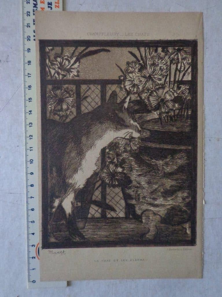 originele ets van Edouard Manet "Le chat et les fleurs" 1869, Antiek en Kunst, Kunst | Etsen en Gravures, Dagelijks leven, 1800 - 1899