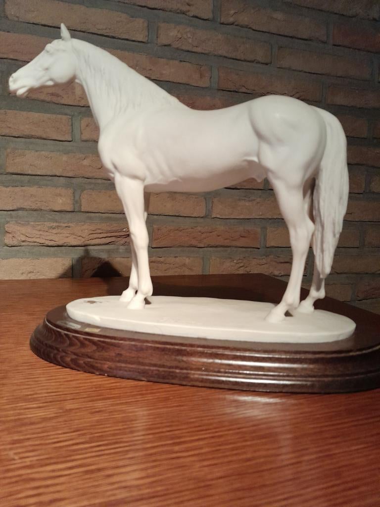 Beeld, Ophalen, Paard