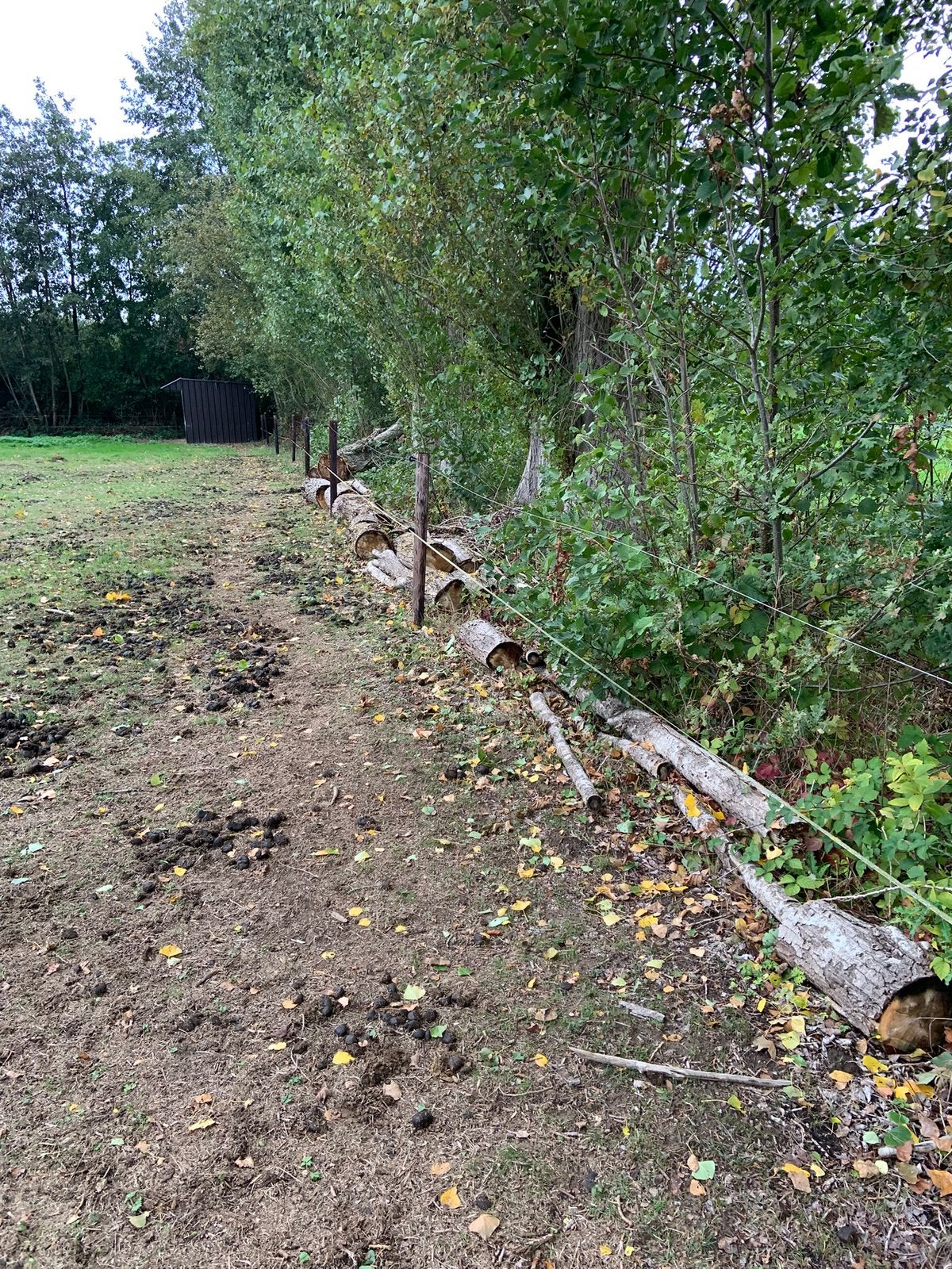 Brandhout, Tuin en Terras, Ophalen