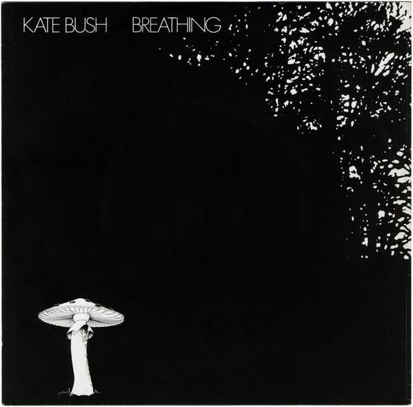 kate bush, Enlèvement ou Envoi