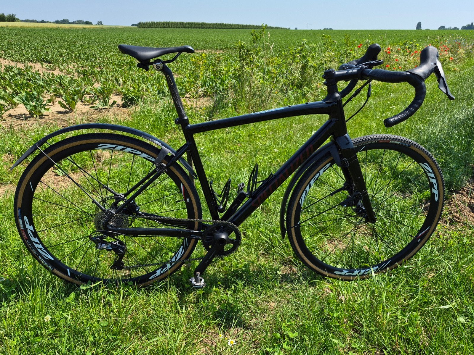 Diverge spécialisé, Vélos & Vélomoteurs, 10 à 15 vitesses, Aluminium, Enlèvement, Hommes