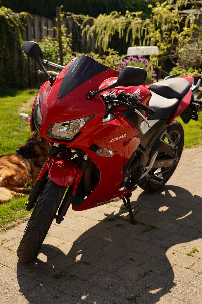 Honda CBR 300 R, Motoren, Motoren | Honda, 300 cc, Gebruikt, Minimaal motorrijbewijs A2, Sportuitlaat