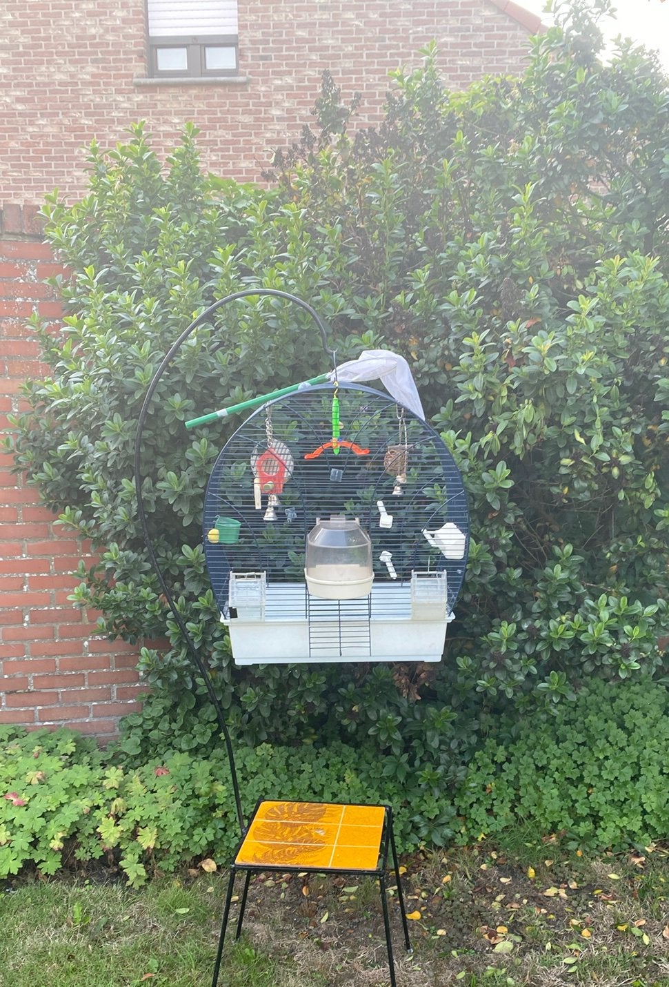 Complete vogelkooi Gebruikte staat, Dieren en Toebehoren, Ophalen, Zo goed als nieuw, Vogelkooi