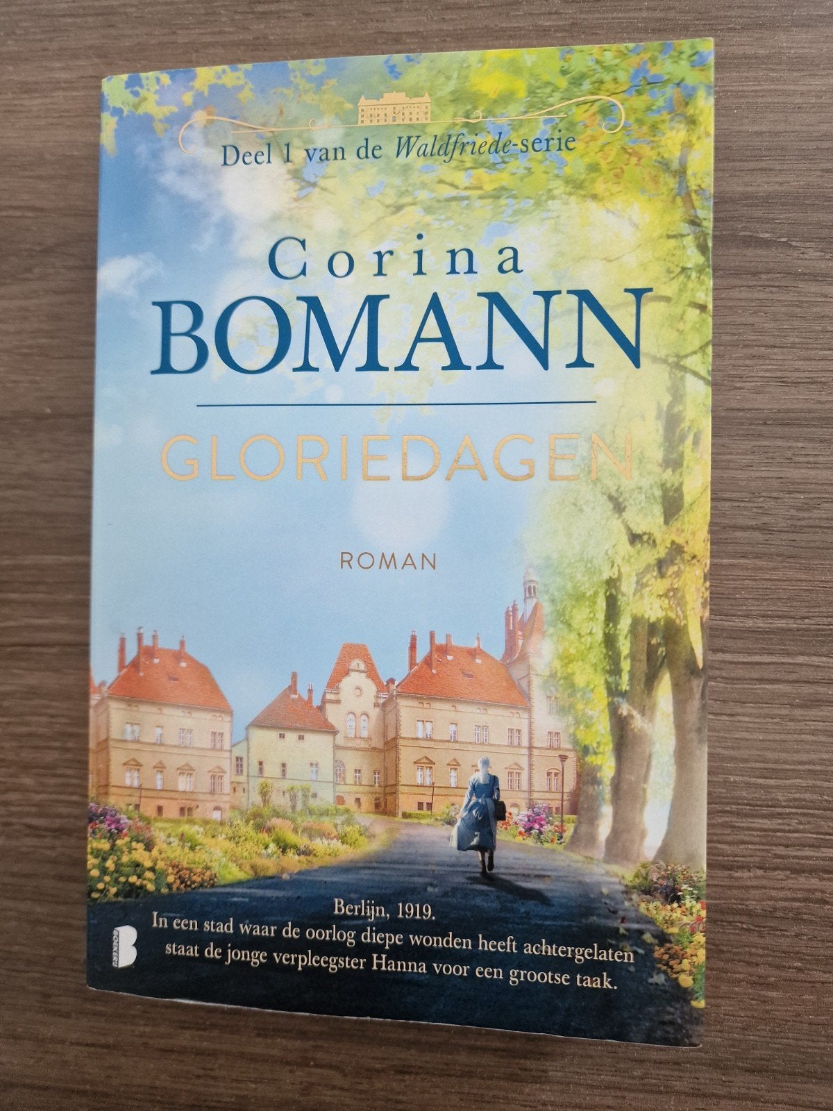 Boeken. Top Romans, Livres, Romans, Enlèvement ou Envoi, Comme neuf, Diverse auteurs