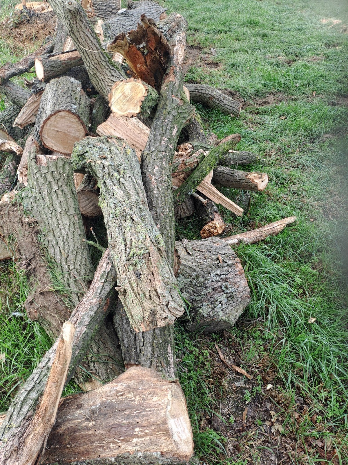 stookhout eik, brandhout, Ophalen, Blokken