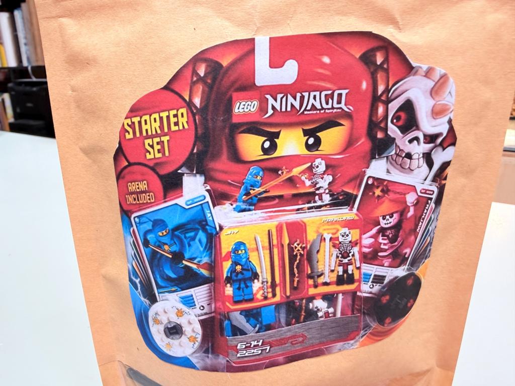 Lego Ninjago 2257 - blokjes volledig (zonder kaarten), Enlèvement ou Envoi, Lego, Ensemble complet, Utilisé