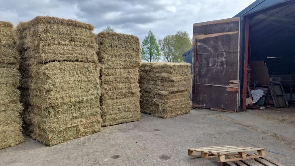 Grote pakken hooi verpakt met 14 kleine pakken 33 kg stuk, Ophalen of Verzenden